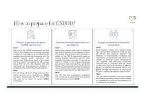 Preparing for the Corporate Sustainability Due Diligence Directive (CSDDD).pdf